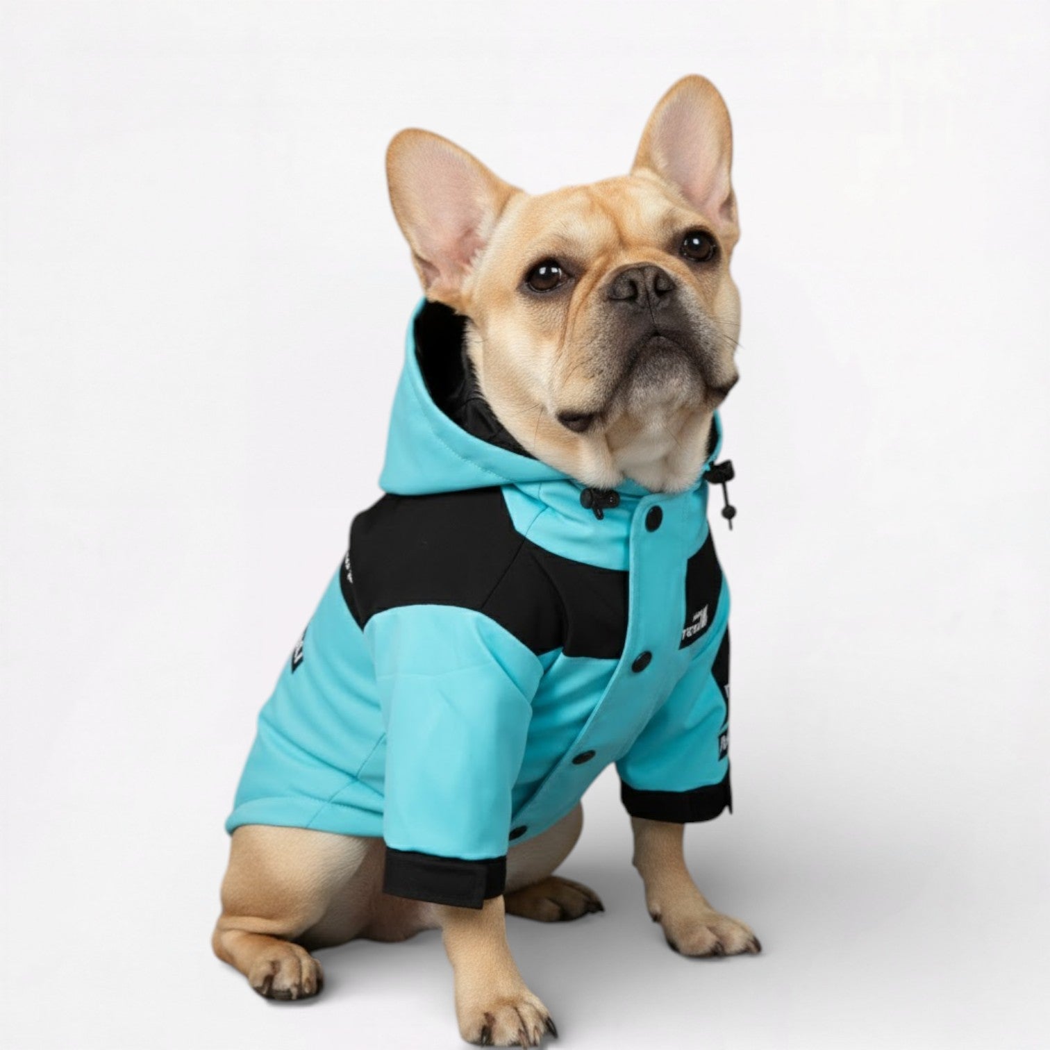 AquaPaw Dog Raincoat | Waterproof, Windproof Jacket for French Bulldogs 3
