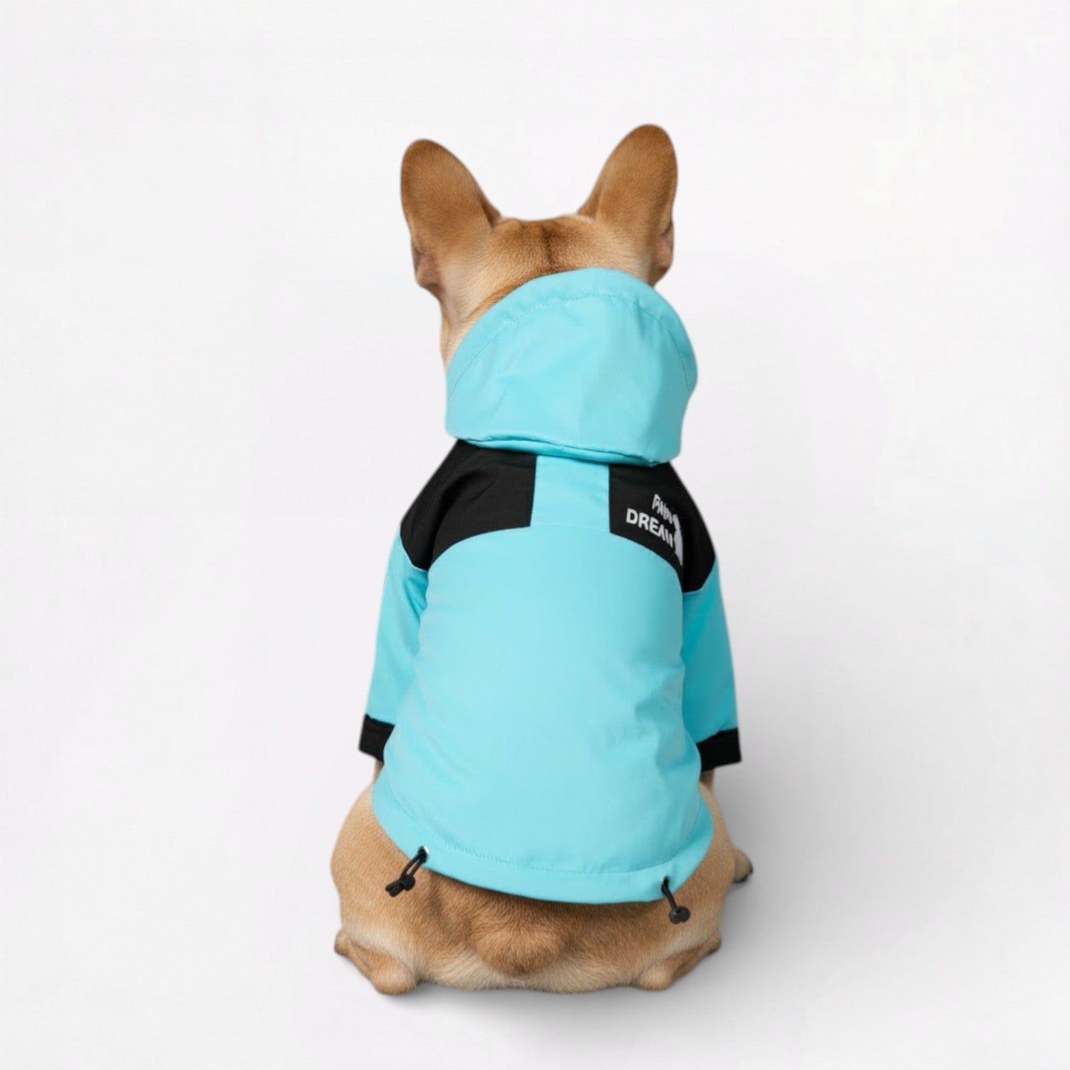 AquaPaw Dog Raincoat | Waterproof, Windproof Jacket for French Bulldogs 4