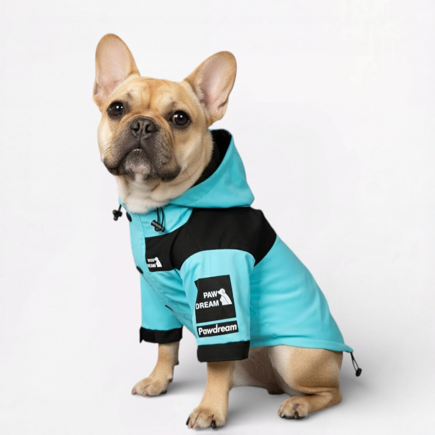 AquaPaw Dog Raincoat | Waterproof, Windproof Jacket for French Bulldogs 5