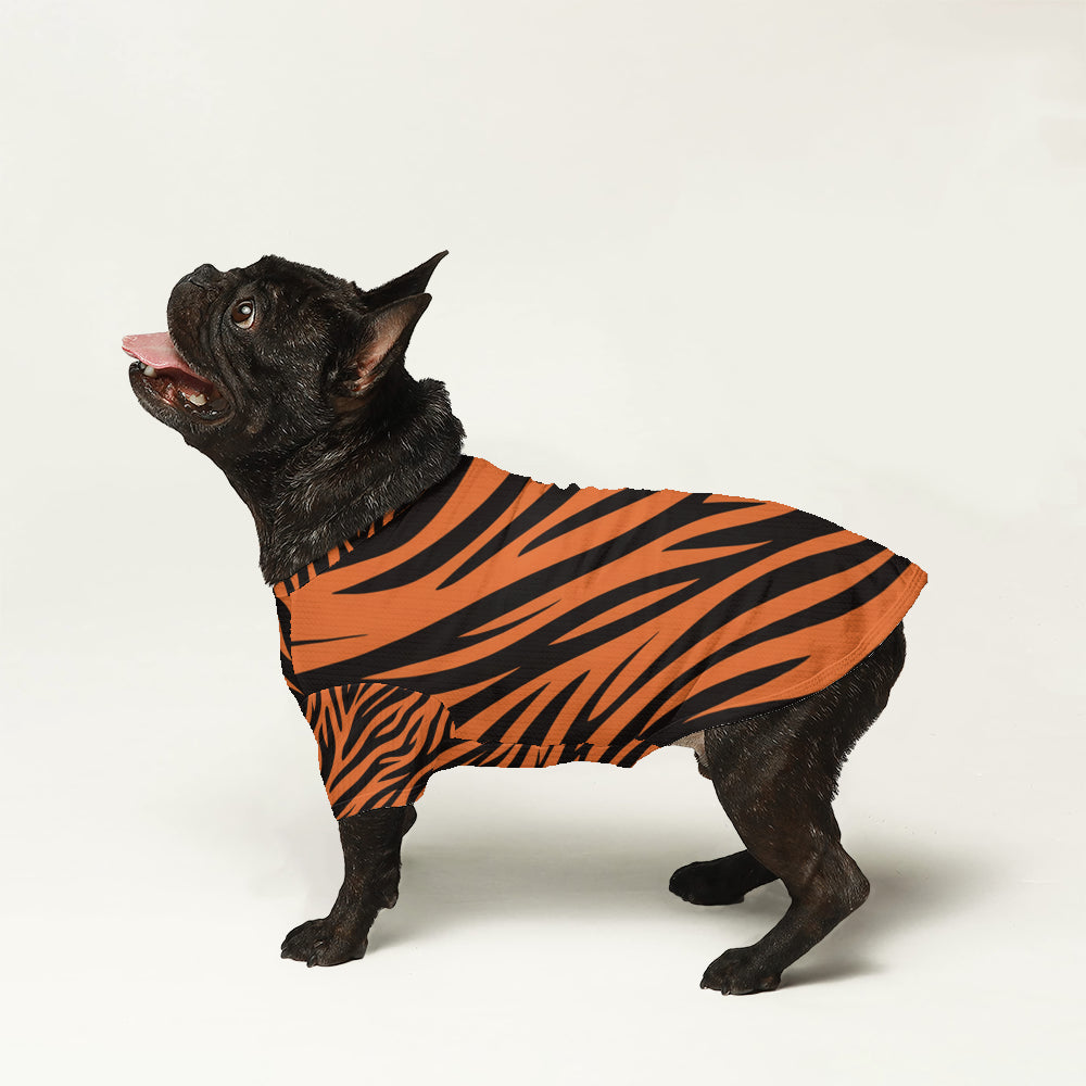 Axel Dog Sweater | High-Quality Wool, Tailored Fit for French Bulldogs 2