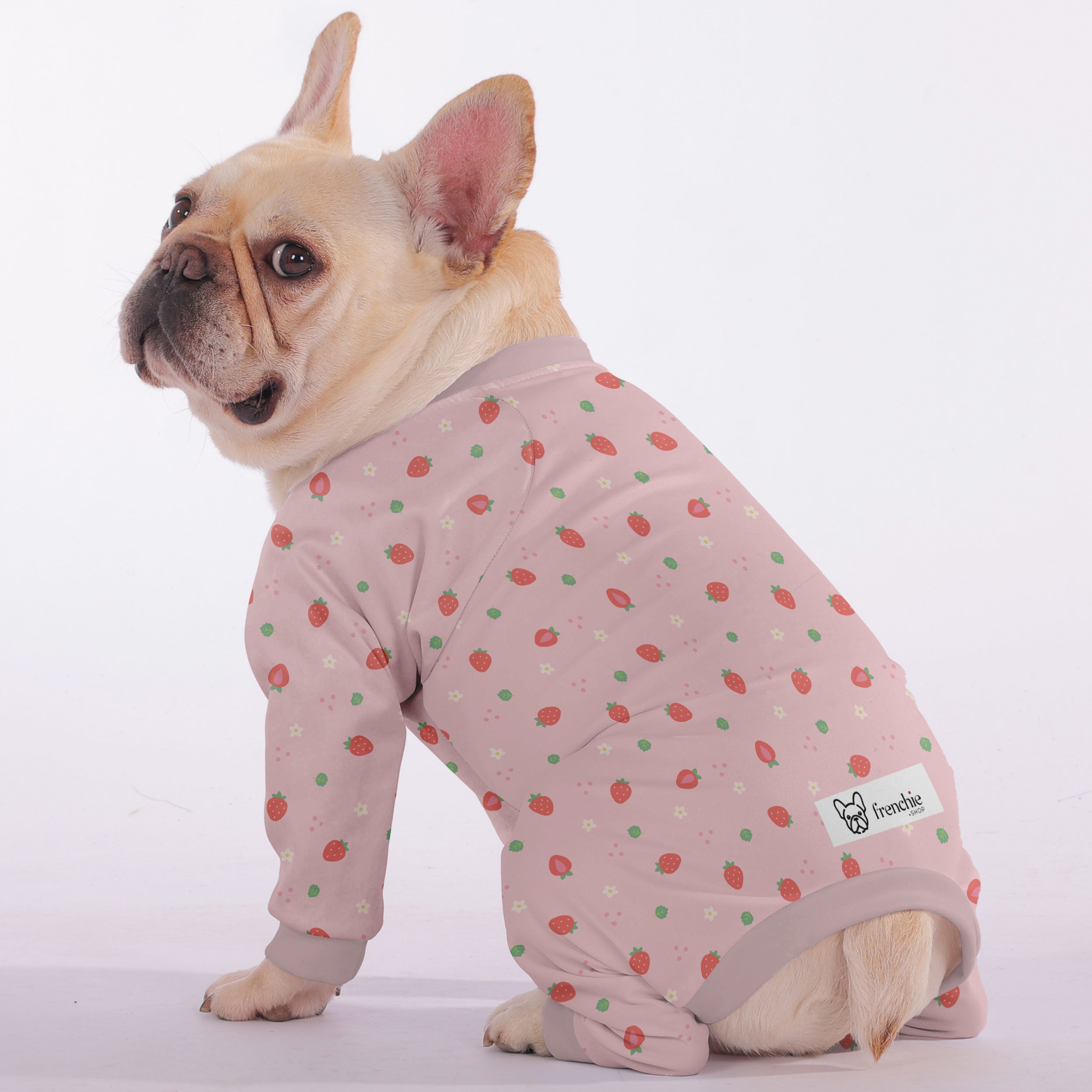 Bella Dog Pajamas | Soft, Breathable Fabric for Comfort 1