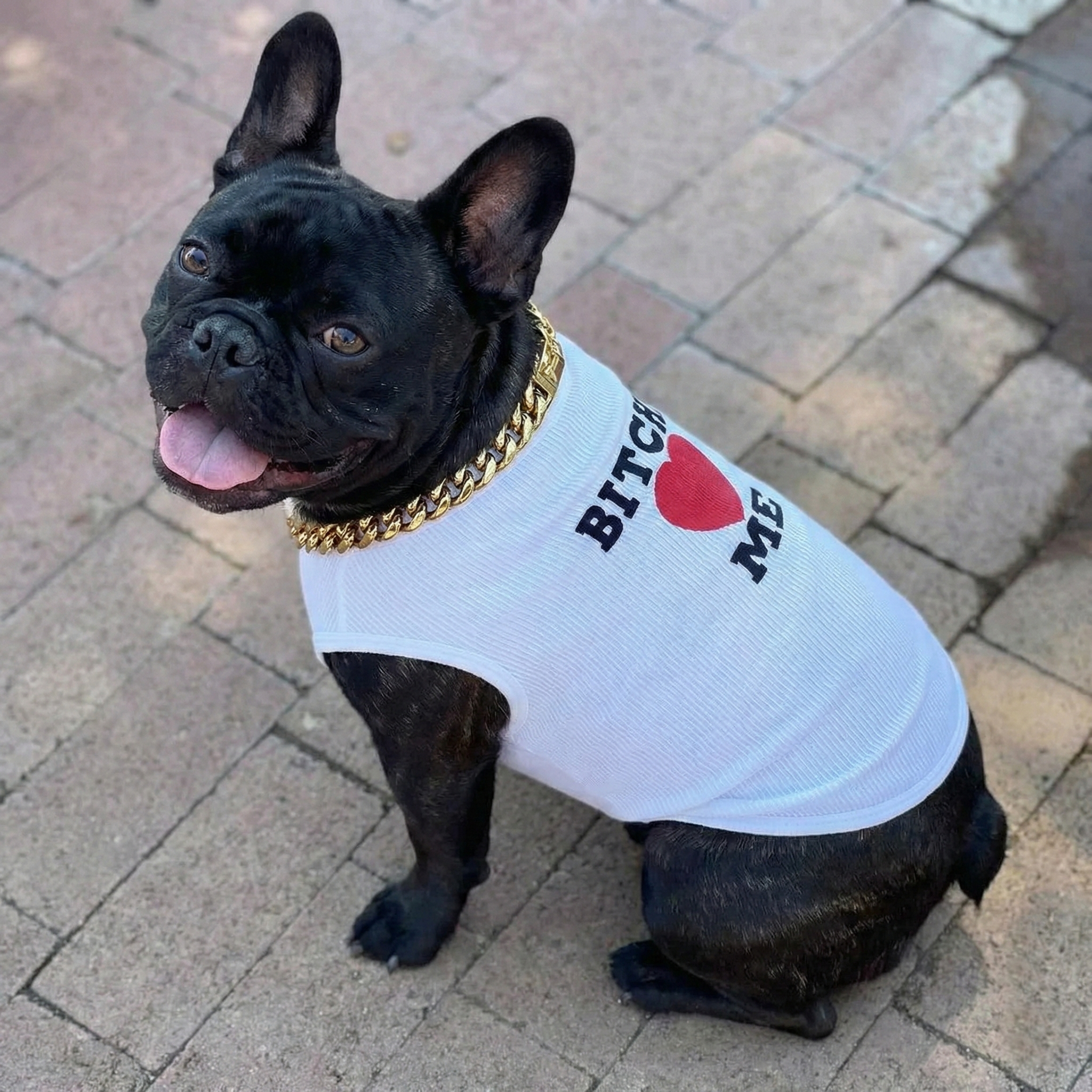 Bobby Custom Dog T-Shirt | 65% Cotton, Summer Style 2