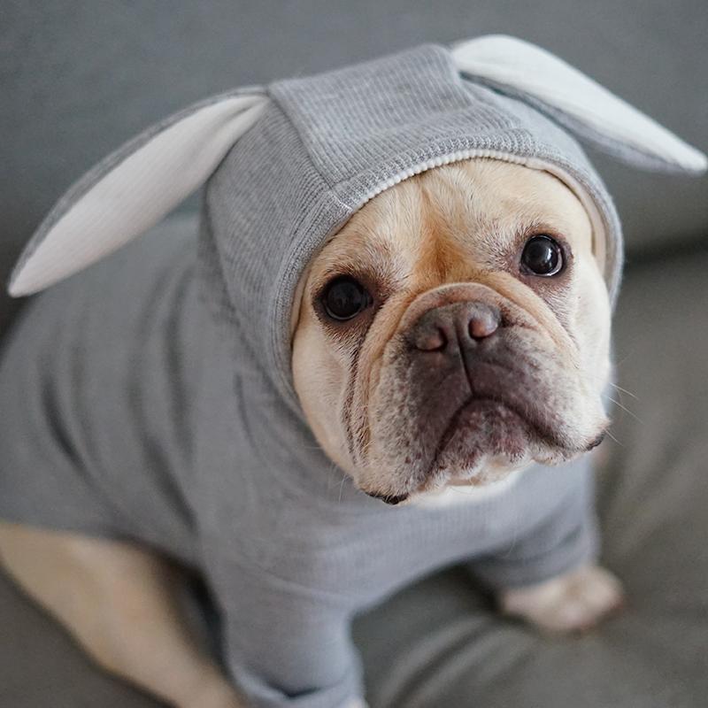 Bunny Frenchie Hoodie | Soft Cotton, Double-Layer Design 5