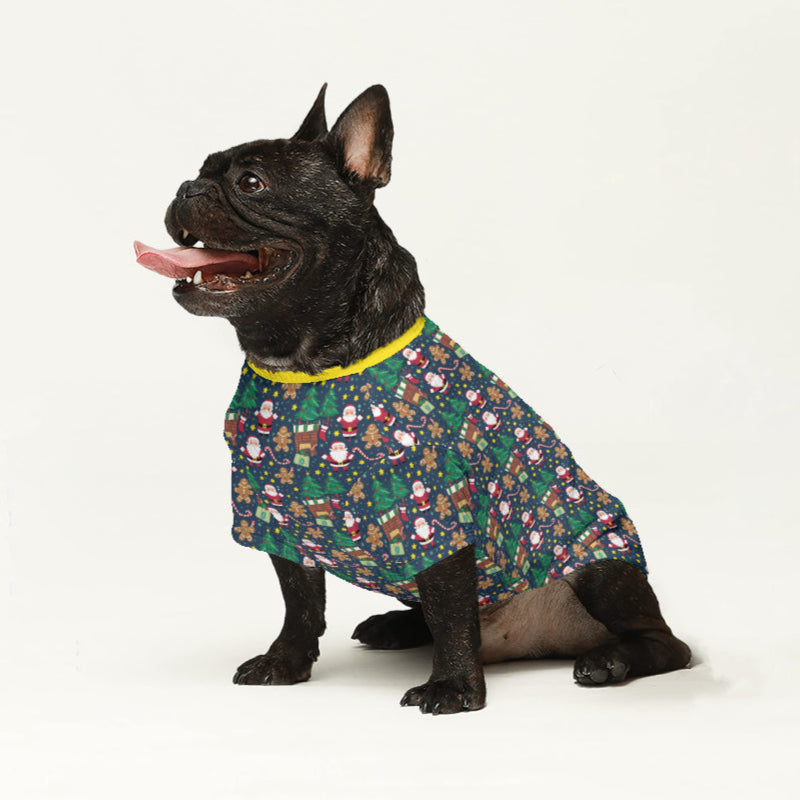 Buzzy Dog Sweater | Premium Wool, Tailored Fit for French Bulldogs 3
