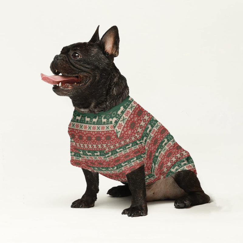 Cleo Dog Sweater | High-Quality Wool, Cozy Fit for French Bulldogs 4