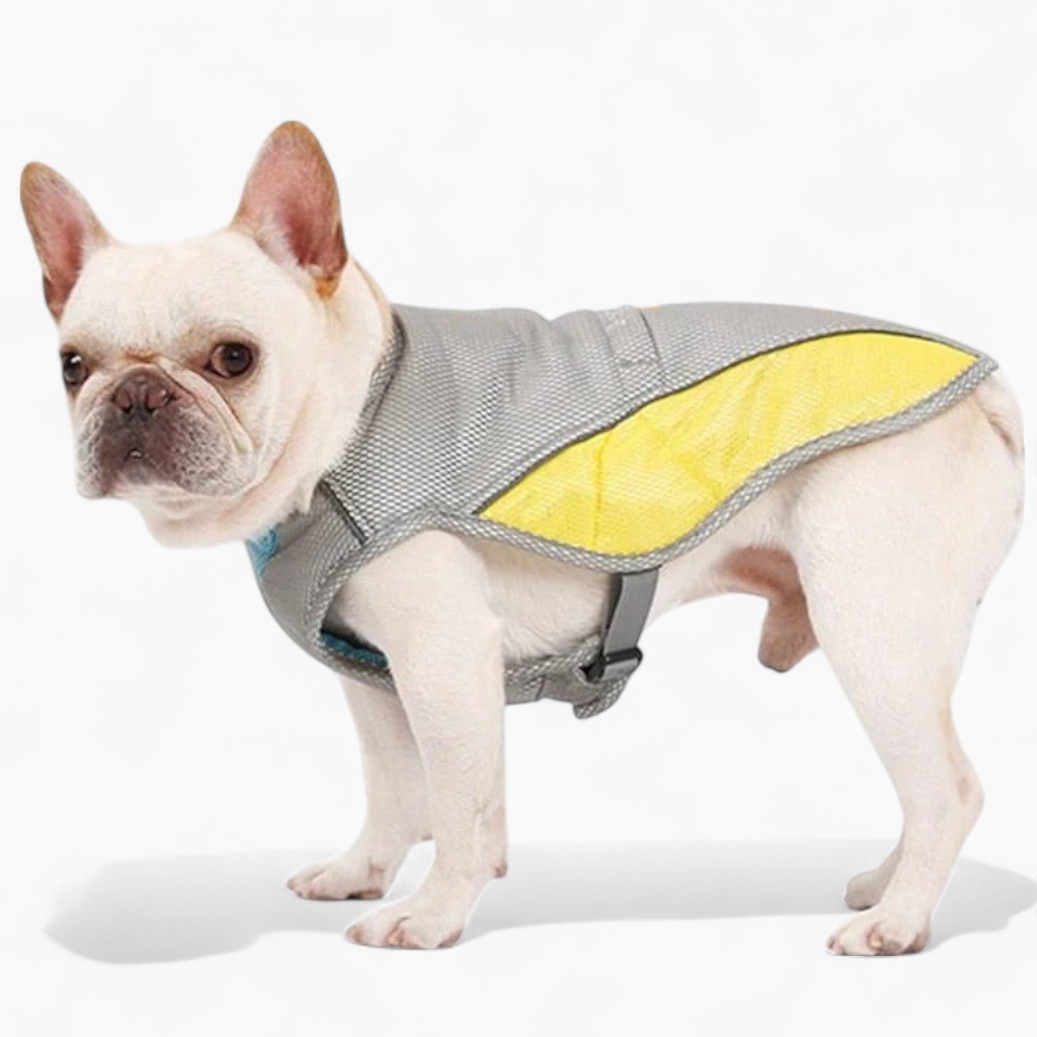 Coco Dog Cooling Vest | Three-Layer, Evaporative Design for Hot Weather 1