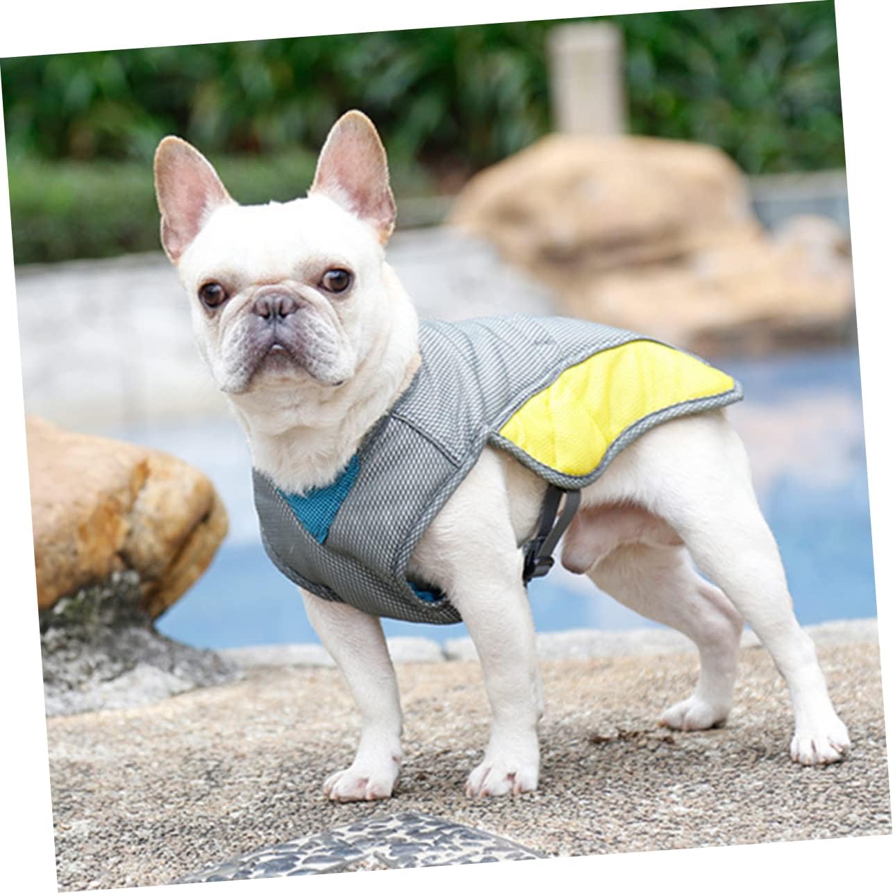 Coco Dog Cooling Vest | Three-Layer, Evaporative Design for Hot Weather 4