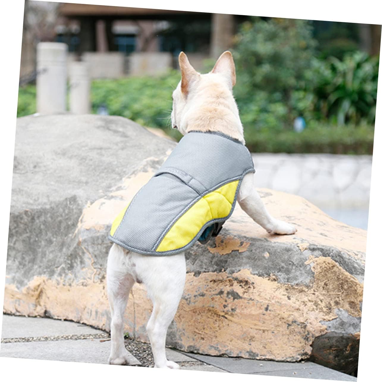 Coco Dog Cooling Vest | Three-Layer, Evaporative Design for Hot Weather 5