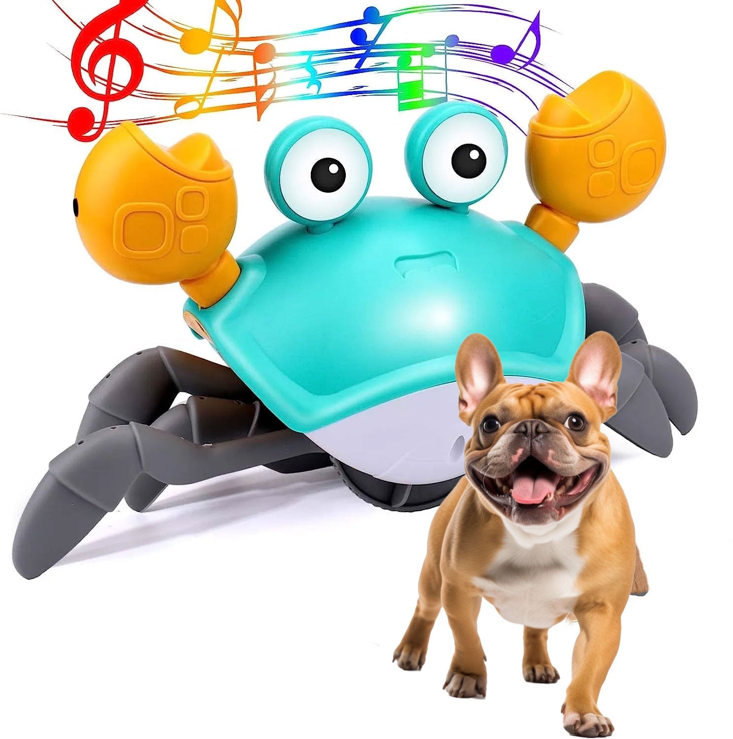 Crispy Crab Dog Toy | Interactive Motion Sensor, Durable TPR & ABS 0