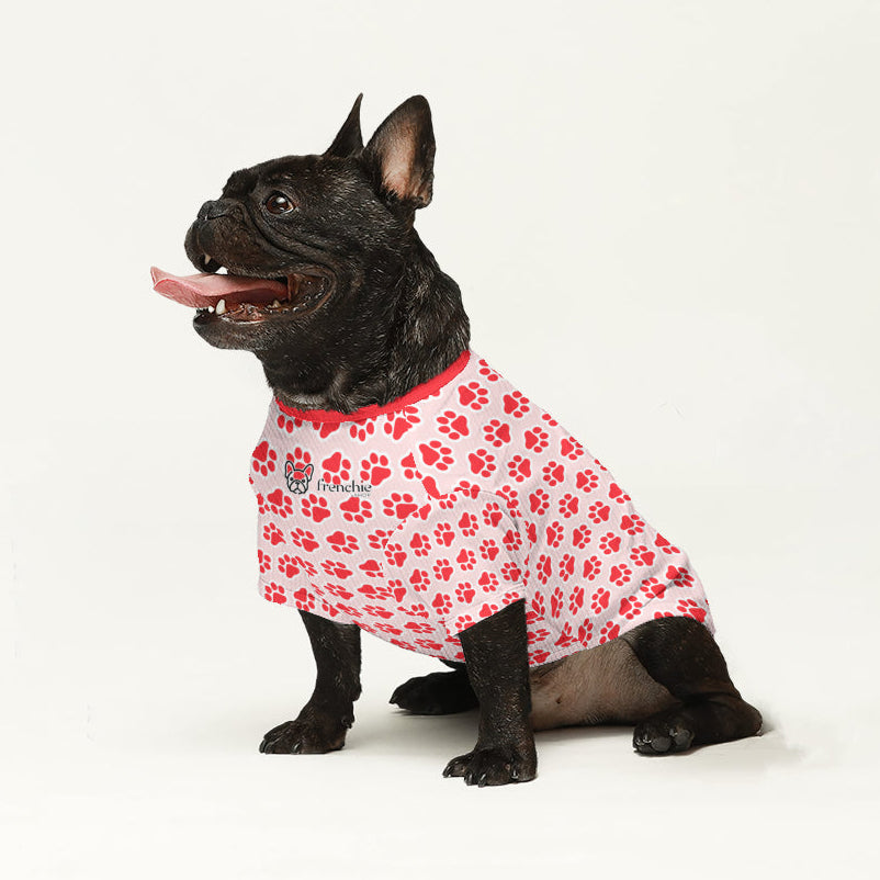 Dante Dog Sweater | High-Quality Wool, Cozy Fit for French Bulldogs 1