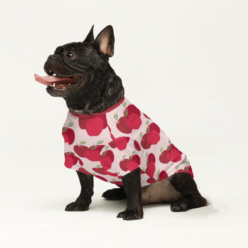 Dapper Dog Sweater | Cozy Wool, Tailored Fit for French Bulldogs 0