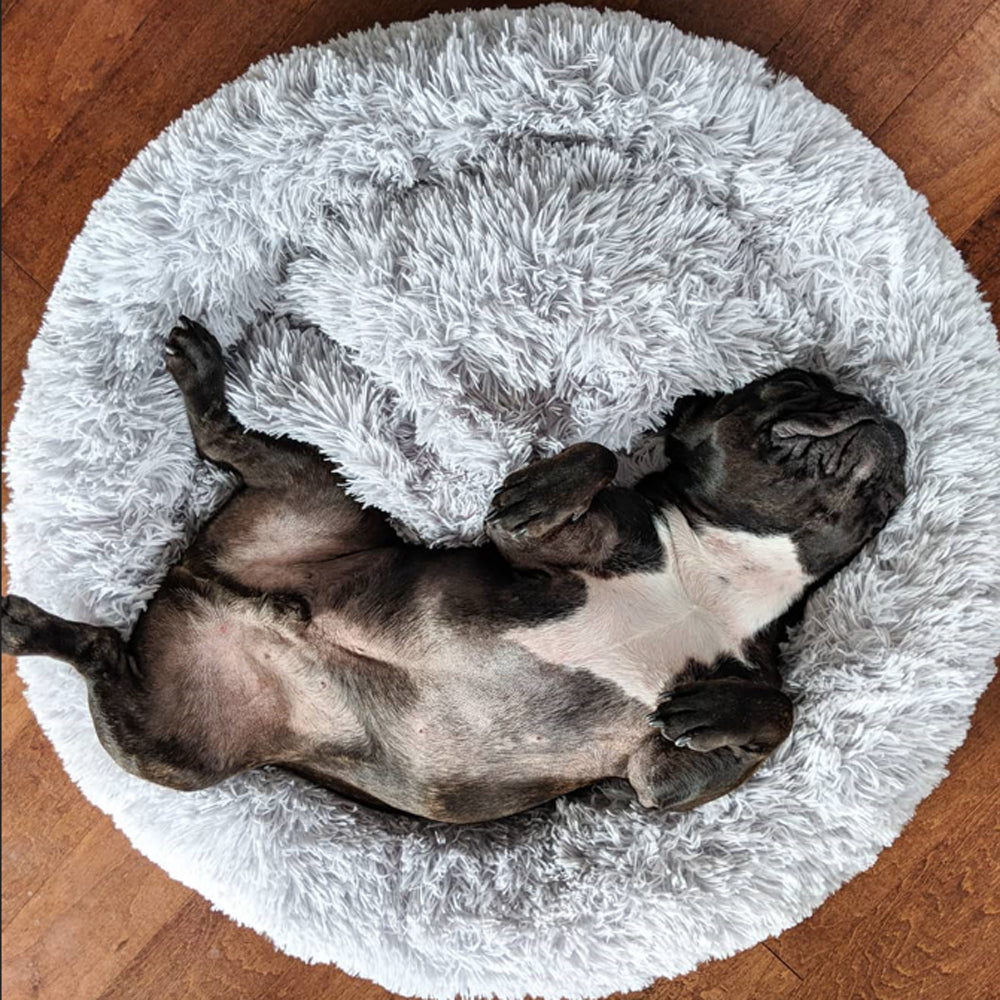 Doodle Dog Bed | Plush Comfort, Anti-Anxiety Design for Dogs 3