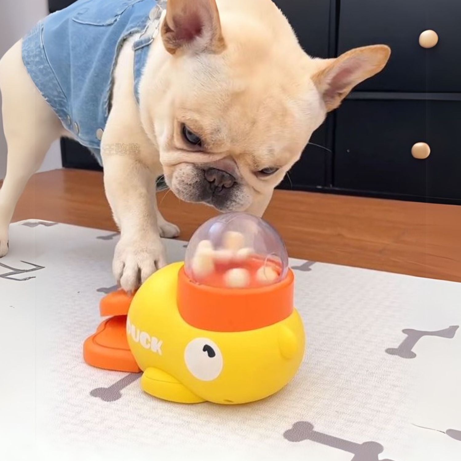 Ducky Dog Puzzle Toy | Interactive Slow Feeder, Premium ABS for Small Breeds 4