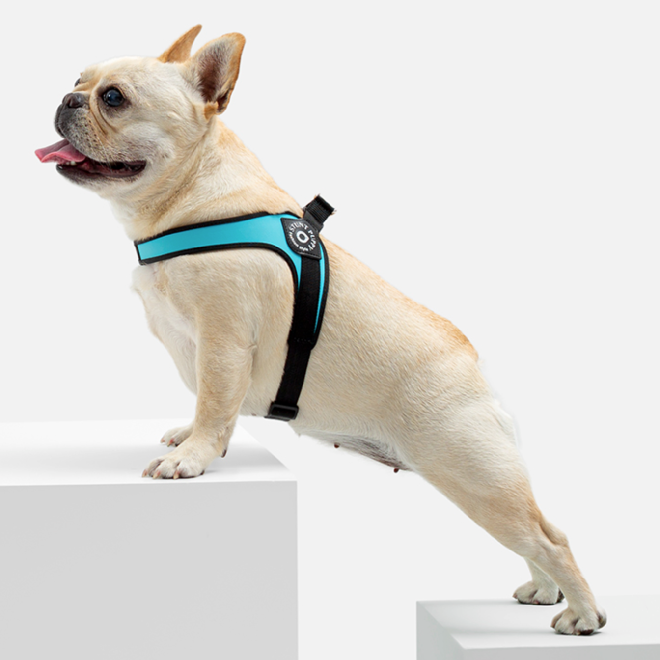 Elysian Bulldog Harness | No Pull, Premium Leather for Comfort and Style 3
