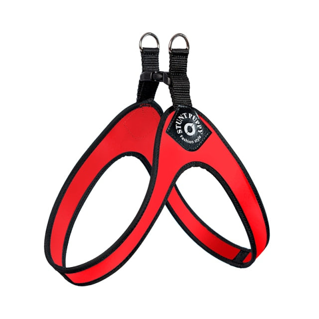 Elysian Bulldog Harness | No Pull, Premium Leather for Comfort and Style 7