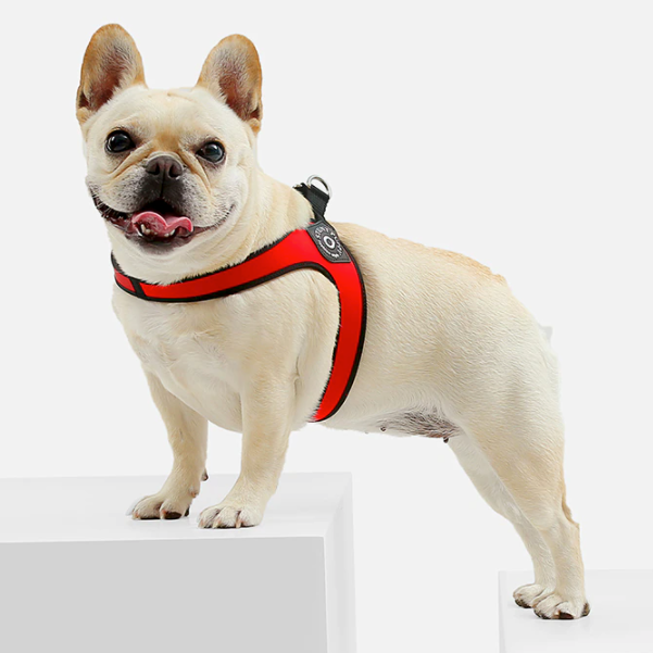 Elysian Bulldog Harness | No Pull, Premium Leather for Comfort and Style 8