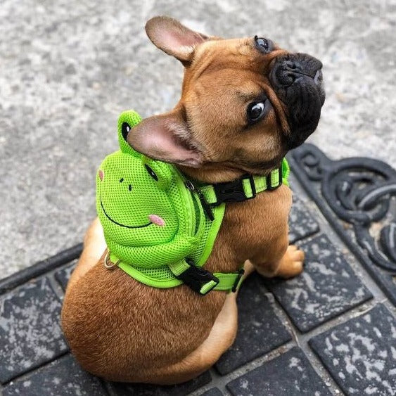 Fido Backpack Harness | Comfortable Nylon, Perfect for French Bulldogs 3