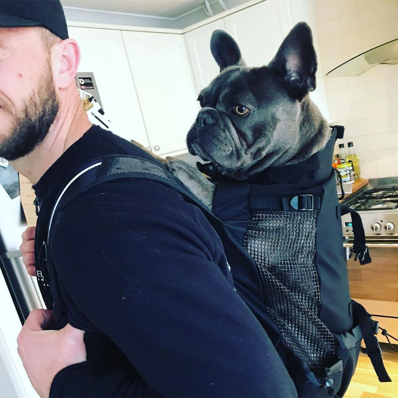 Fido Dog Carrier Bag | Breathable, Lightweight, Perfect for Small Dogs 11