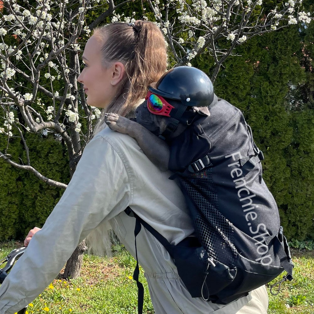 Fido Dog Carrier Bag | Breathable, Lightweight, Perfect for Small Dogs 7