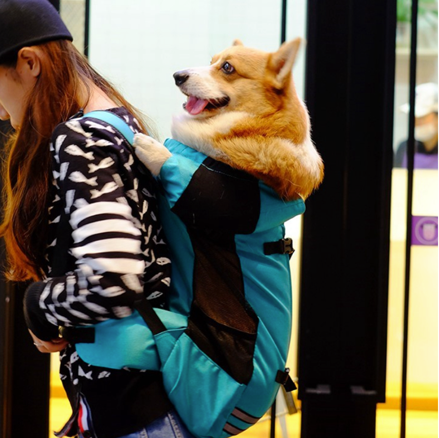 Fido Dog Carrier Bag | Ergonomic, Breathable Design for Small Breeds 2