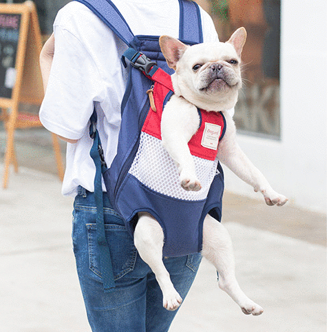 Fido Dog Carrier Bag | Ergonomic, Breathable for Small Dogs 1