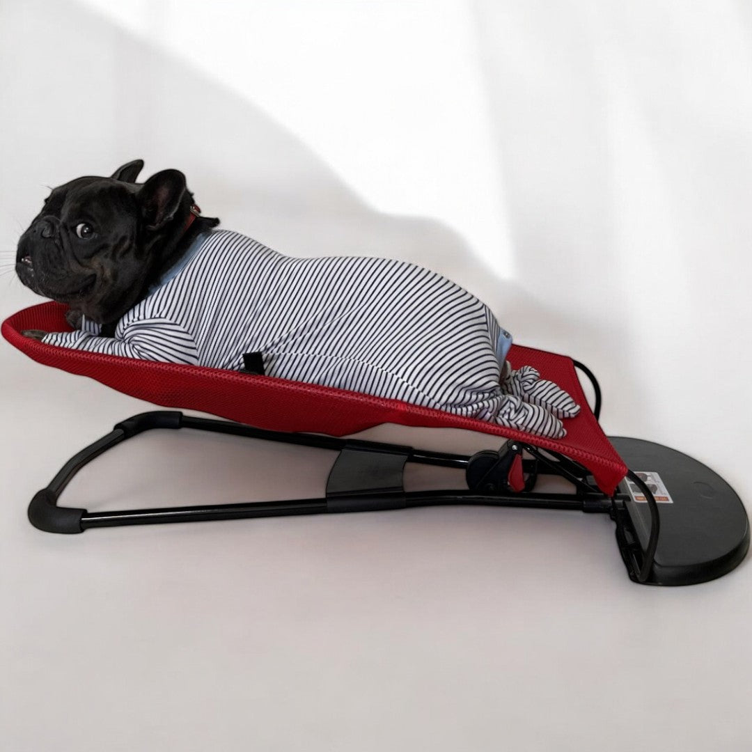 Fido Dog Chair | Portable, Breathable Cloth for French Bulldogs 2