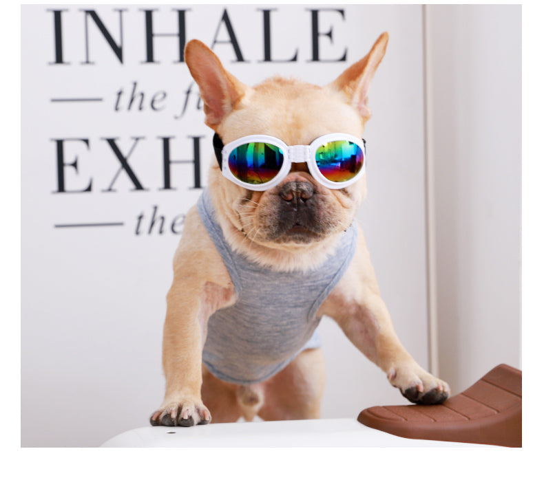 Fido Dog Goggles | Waterproof Eye Protection, Anti-UV for Outdoor Adventures 3