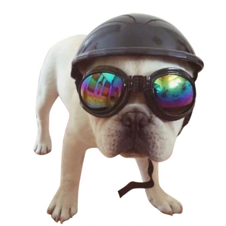 Fido Dog Goggles | Waterproof Eye Protection, Anti-UV for Outdoor Adventures 6