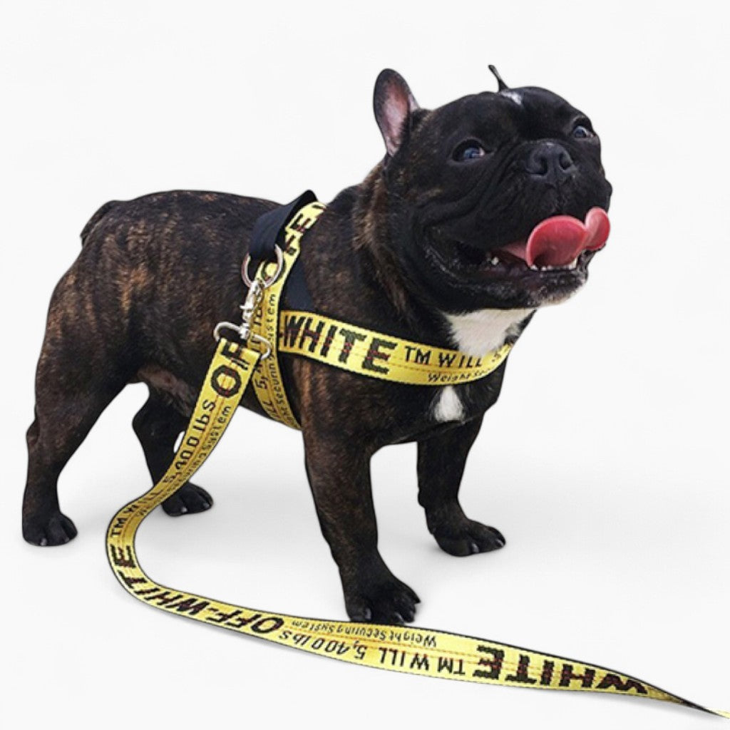 Fido Dog Harness | Durable Nylon, Comfortable Fit for French Bulldogs 1