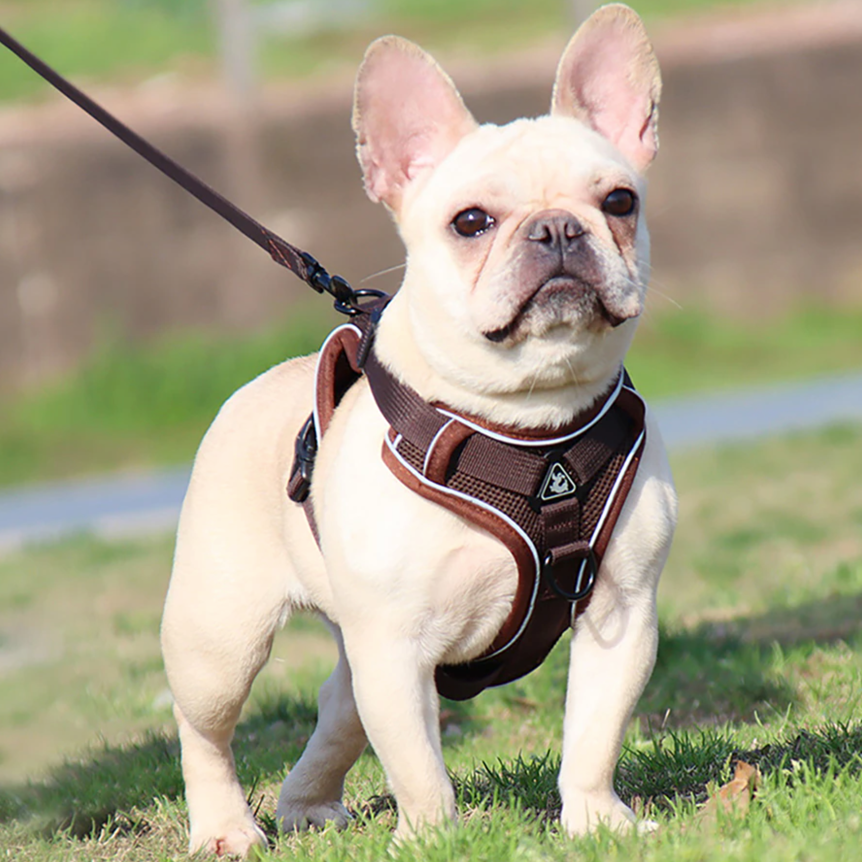Fido Dog Harness | No Pull, Adjustable with Handle for French Bulldogs 0