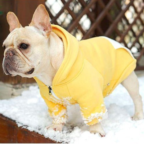 Fido Dog Hoodie | 100% Cotton, Cozy Design for French Bulldogs 1