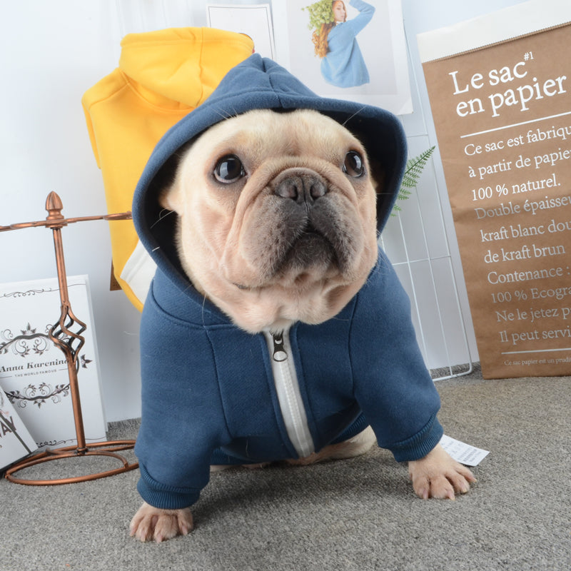 Fido Dog Hoodie | 100% Cotton, Cozy Design for French Bulldogs 2
