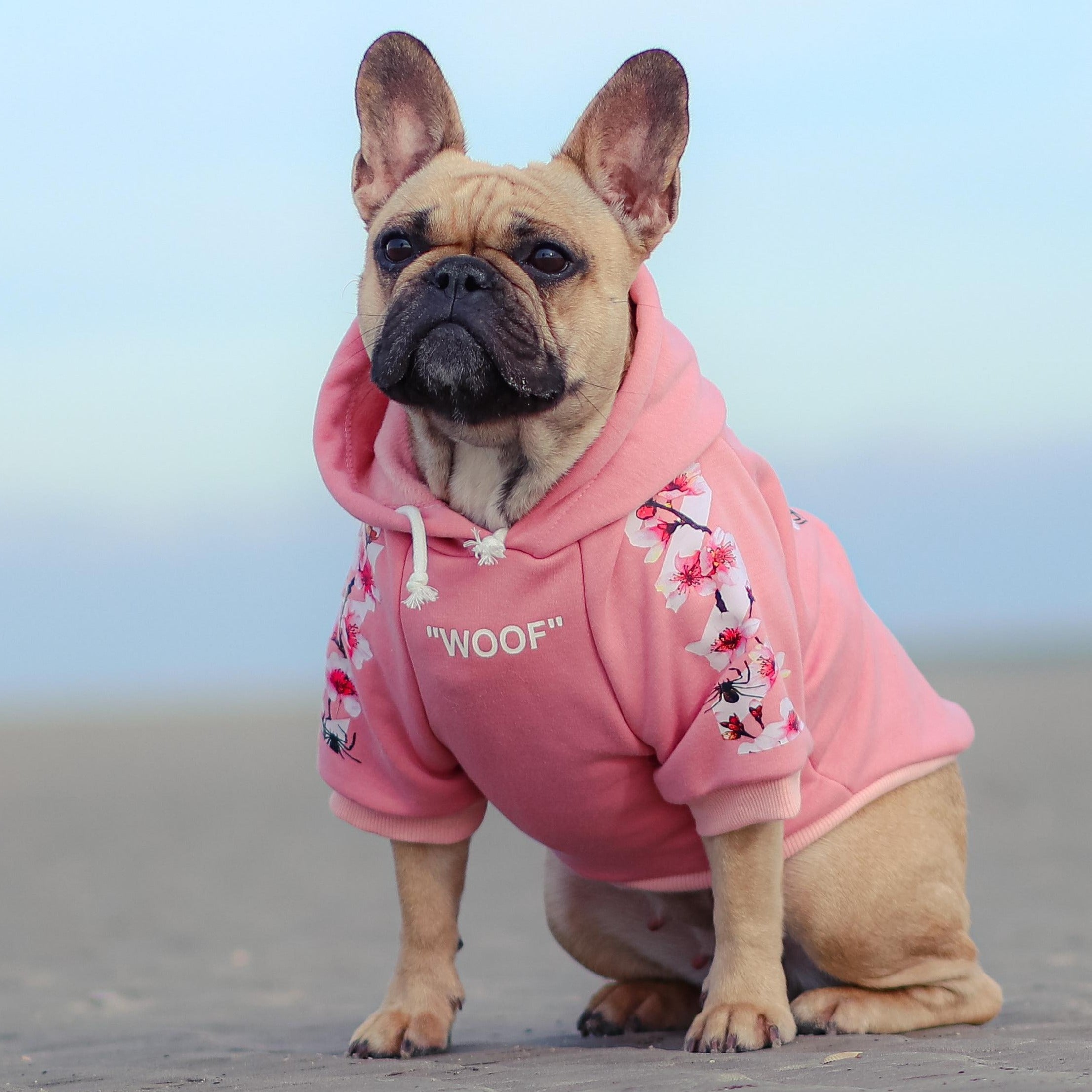 Fido Dog Hoodie | Soft, Durable Sweatshirt for French Bulldogs 2