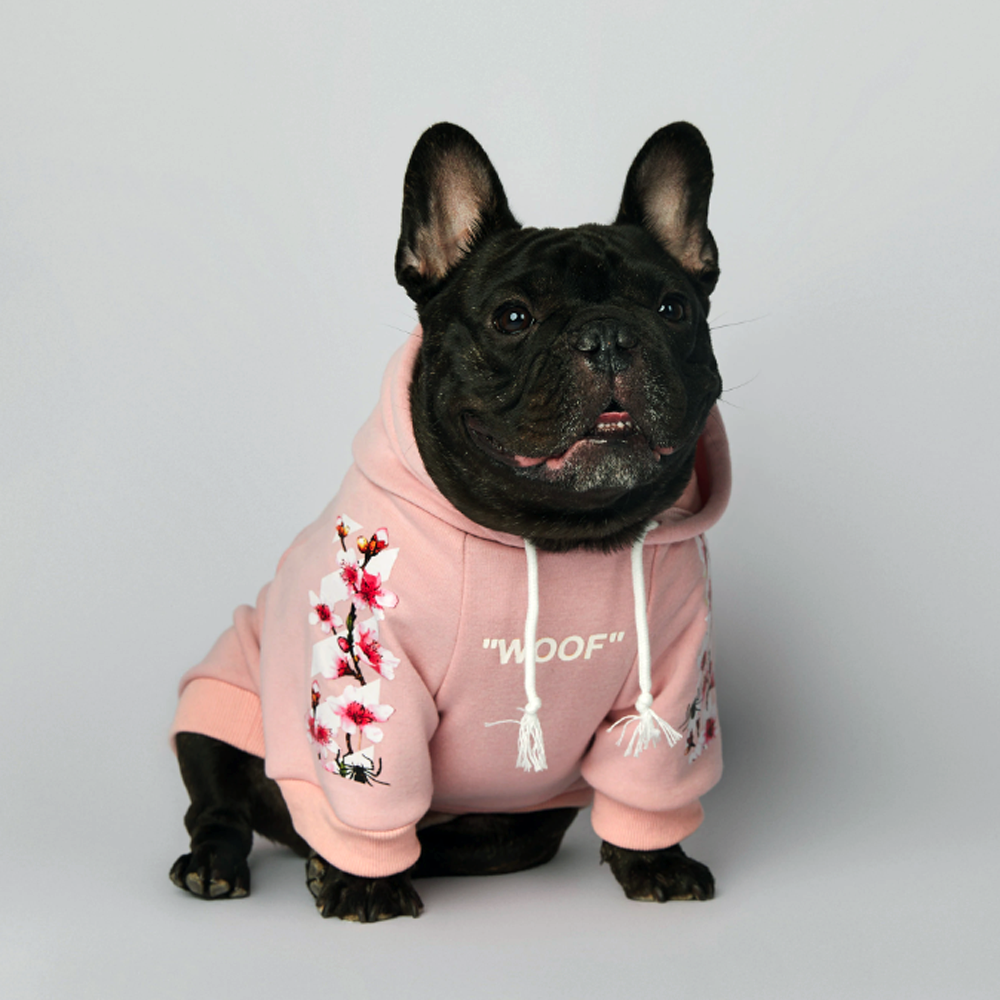 Fido Dog Hoodie | Soft, Durable Sweatshirt for French Bulldogs 5