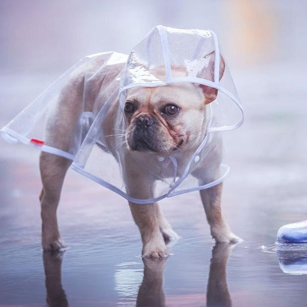 Fido Dog Raincoat | Transparent Waterproof Coat for Stylish Dogs 0