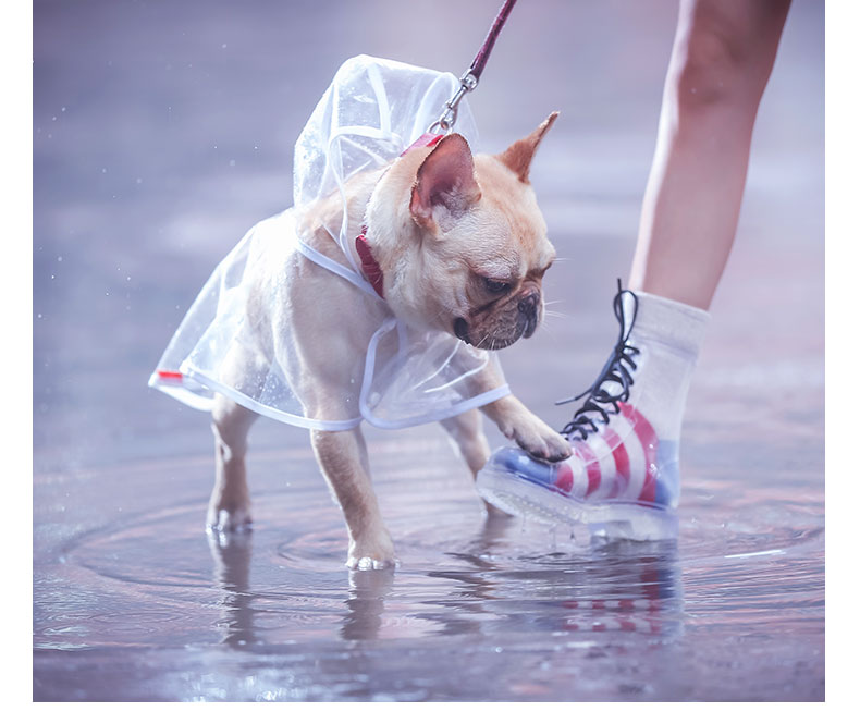 Fido Dog Raincoat | Transparent Waterproof Coat for Stylish Dogs 2