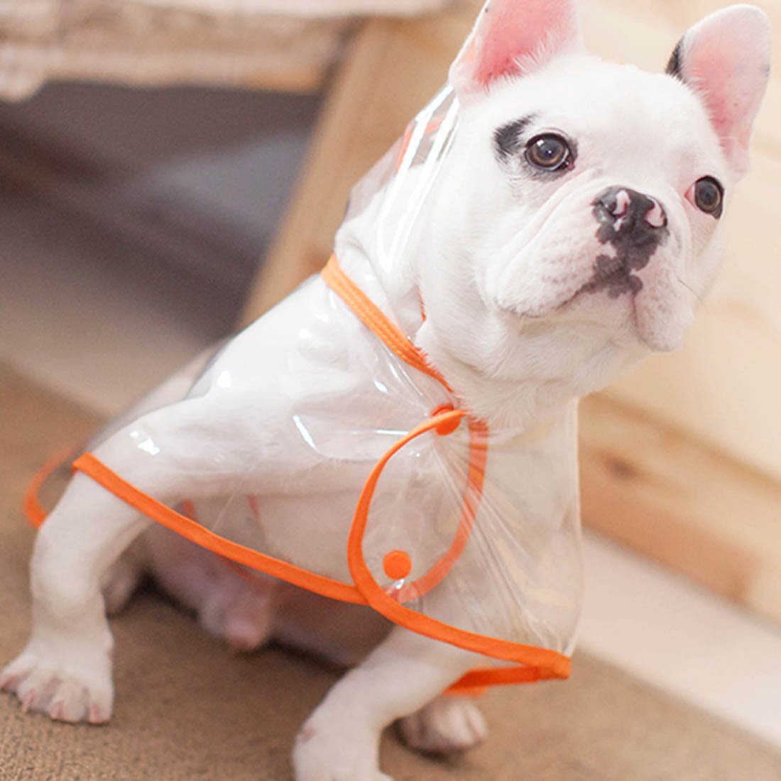 Fido Dog Raincoat | Transparent Waterproof Coat for Stylish Dogs 6