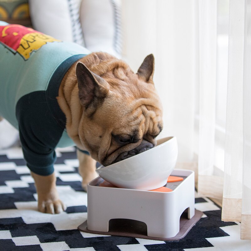 Fido Elevated Dog Bowl | Ceramic, Adjustable Design for French Bulldogs 0