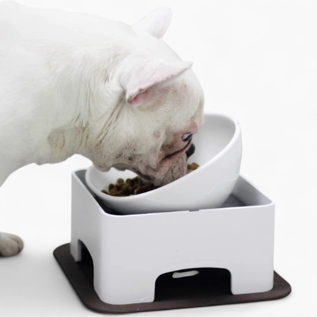 Fido Elevated Dog Bowl | Ceramic, Adjustable Design for French Bulldogs 1