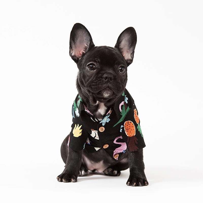 Fido Hawaiian Dog Shirt | Breathable Cotton, Easy Slip-On Design 0
