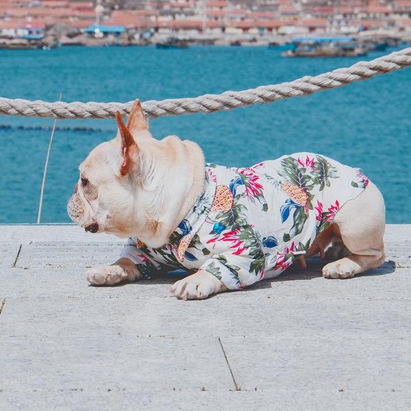 Fido Hawaiian Dog Shirt | Breathable Cotton, Easy Slip-On Design 7
