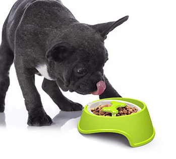 Fido Slow Feeder Dog Bowl | Maze Design, BPA-Free, 1.5L Capacity 1