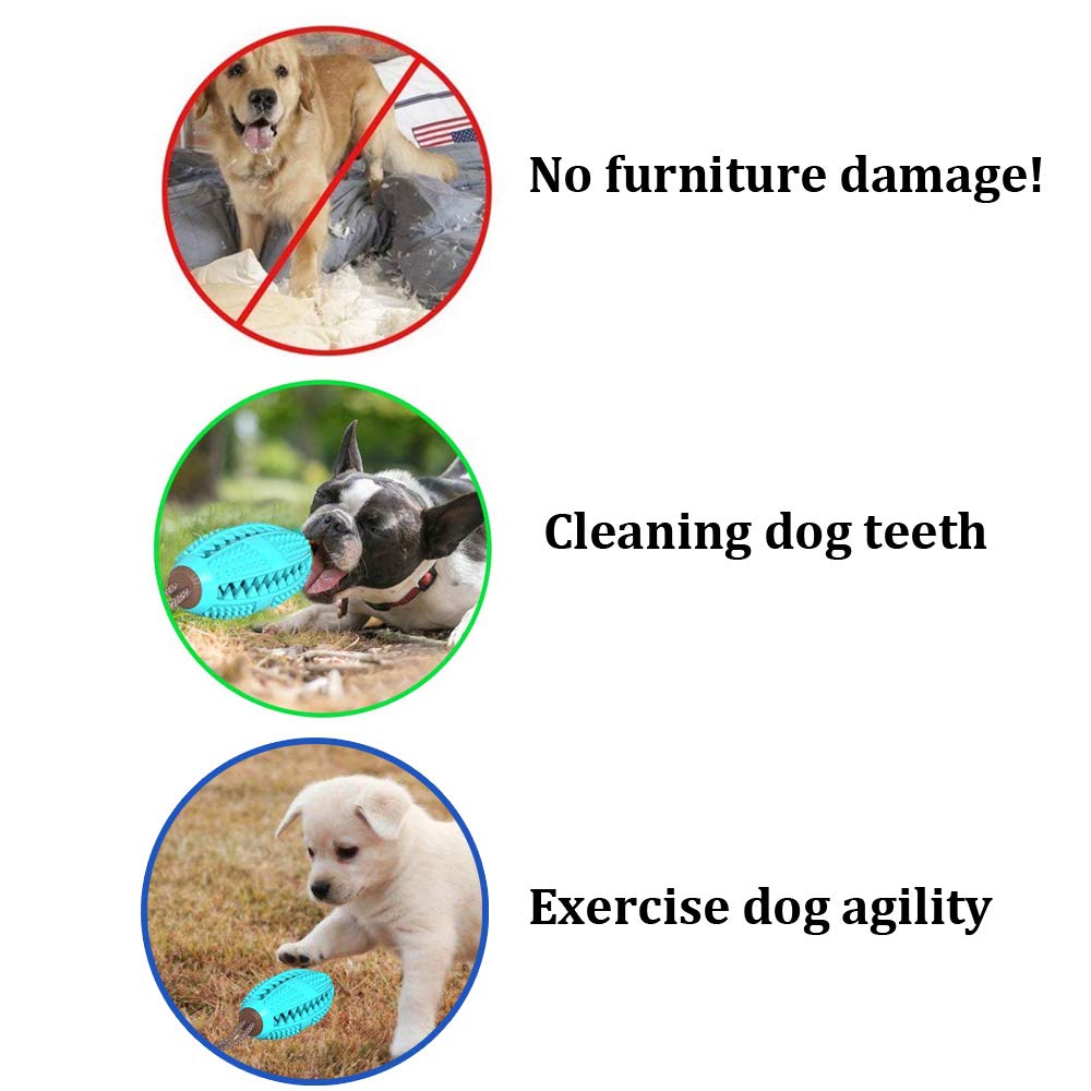 Fido TugToy | Interactive Chew Toy with Suction Cup for Dogs 8