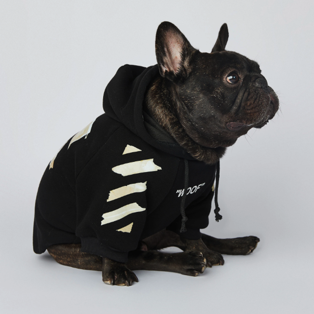 Fido Woof Dog Hoodie | Premium Cotton, Stylish Design for French Bulldogs 7