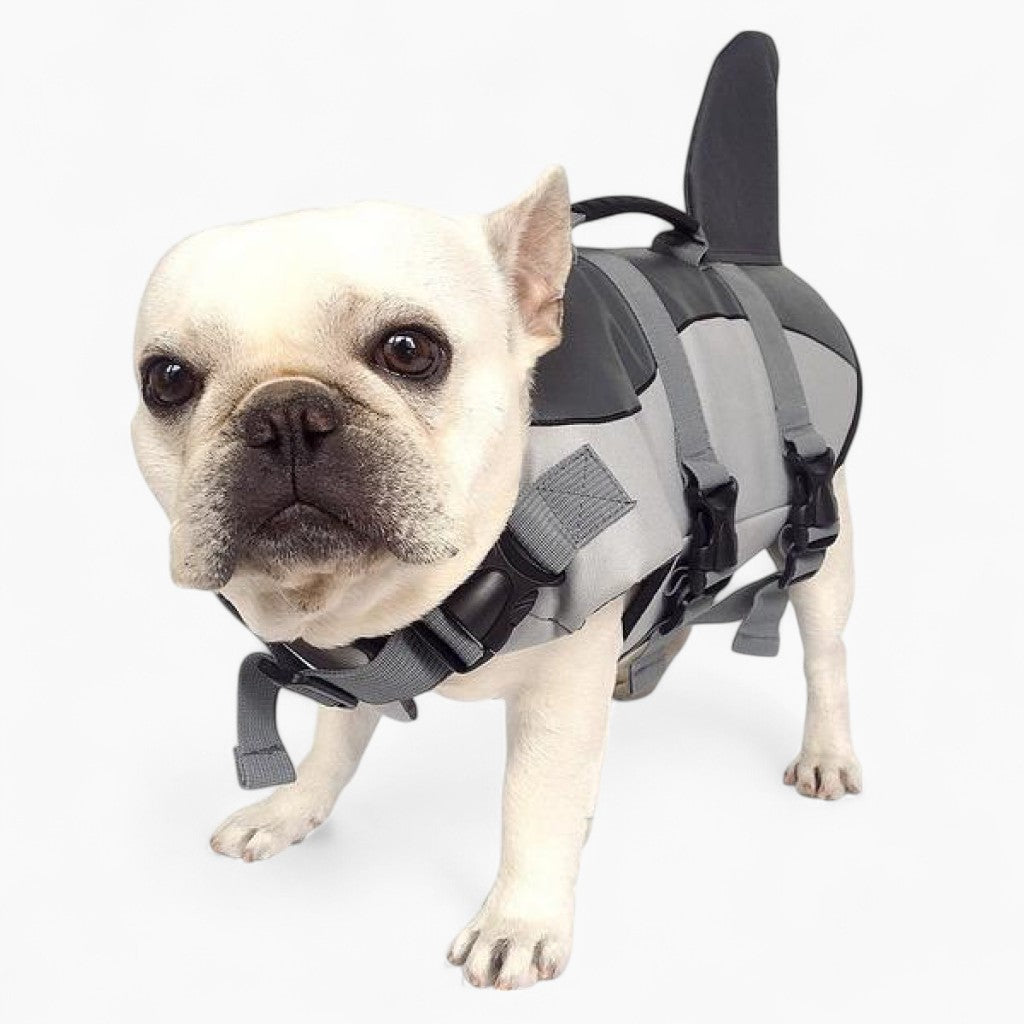 Finn Dog Life Jacket | Shark-Inspired, Adjustable Fit, Water-Resistant 3