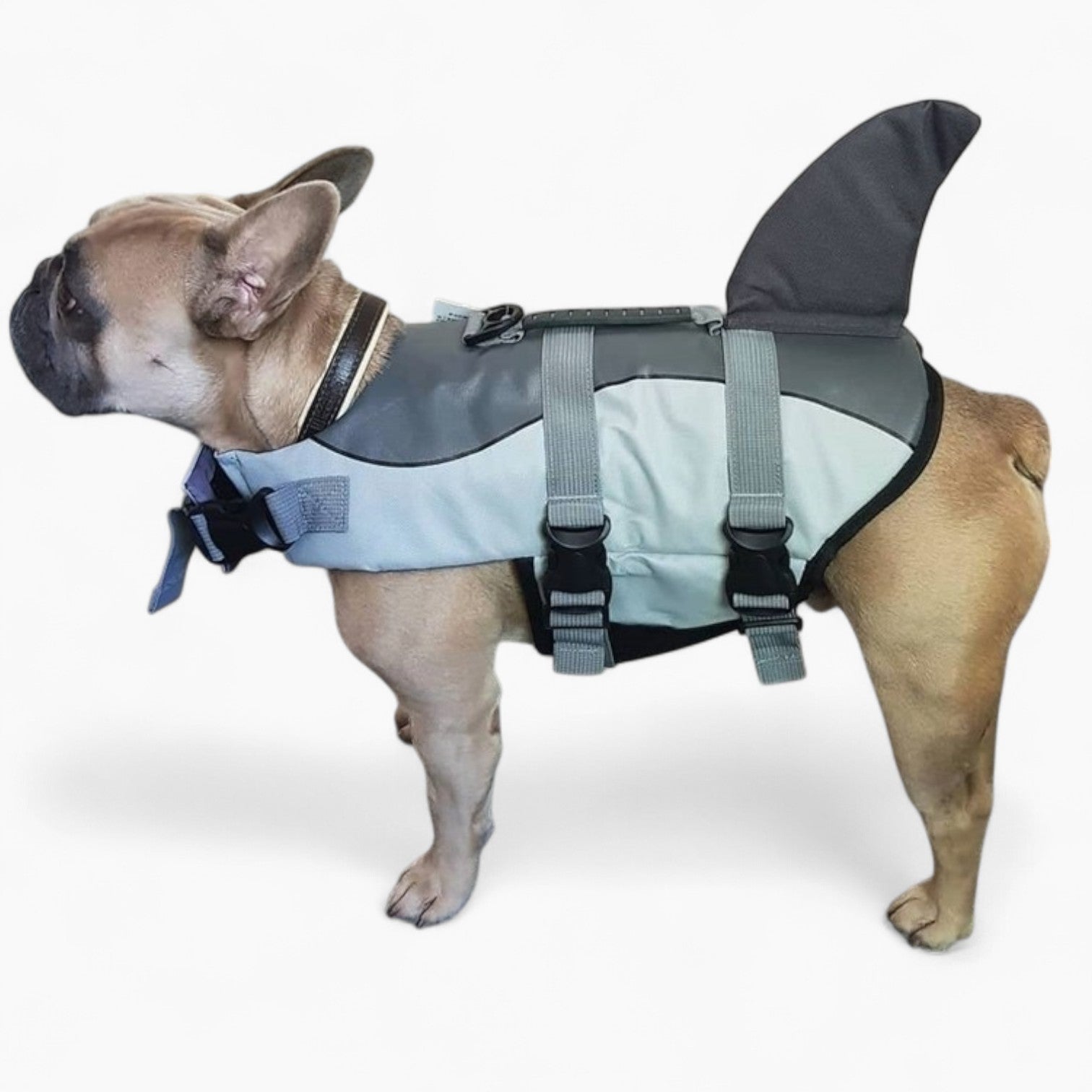 Finn Dog Life Jacket | Shark-Inspired, Adjustable Fit, Water-Resistant 4