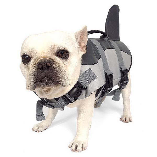 Finn Dog Life Jacket | Shark-Inspired, Adjustable Fit, Water-Resistant 6