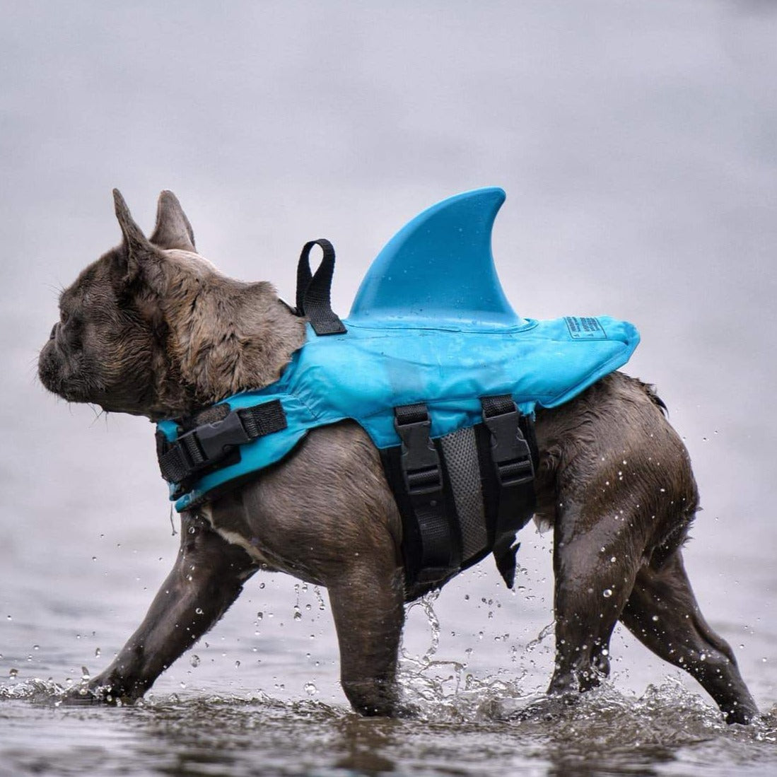 Finn Shark Life Vest | Durable, Buoyant Fabric 0