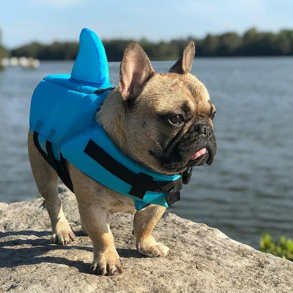 Finn Shark Life Vest | Durable, Buoyant Fabric 5