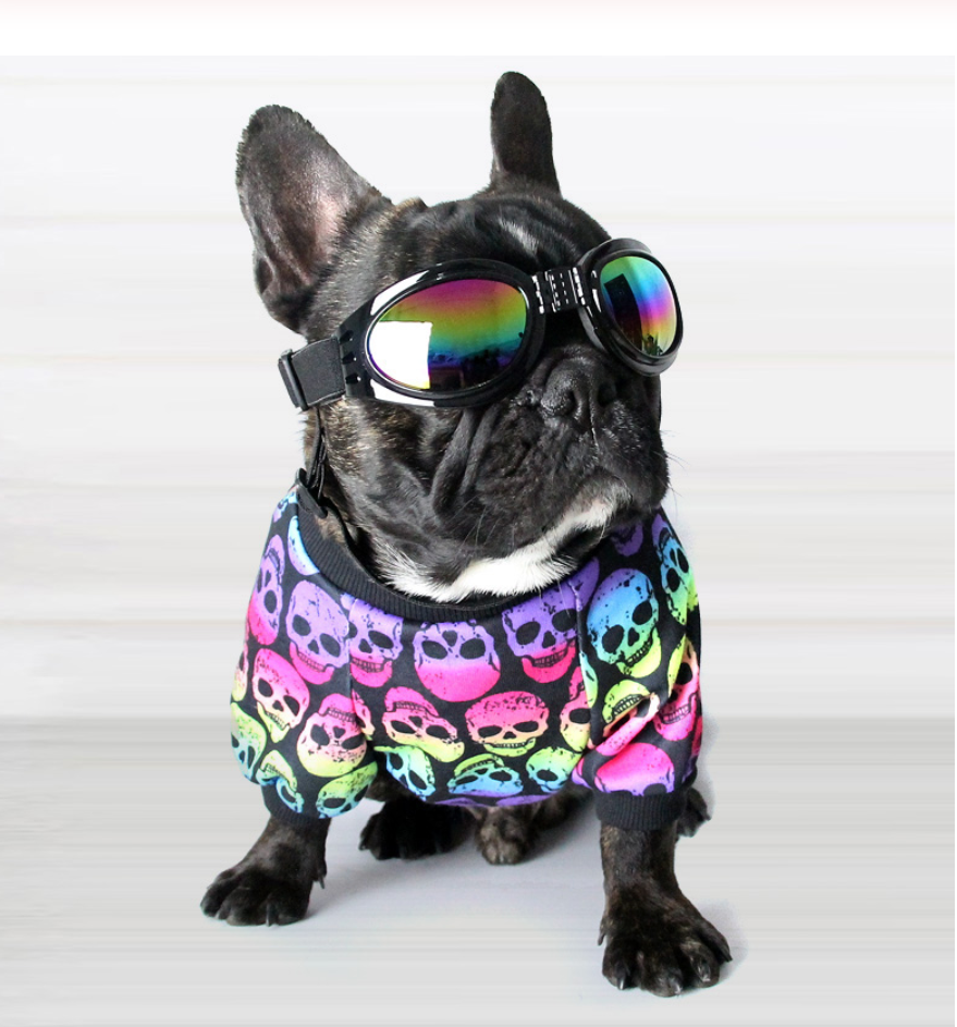 Fresco Dog Shirt | 100% Cotton, Skull Pattern 0